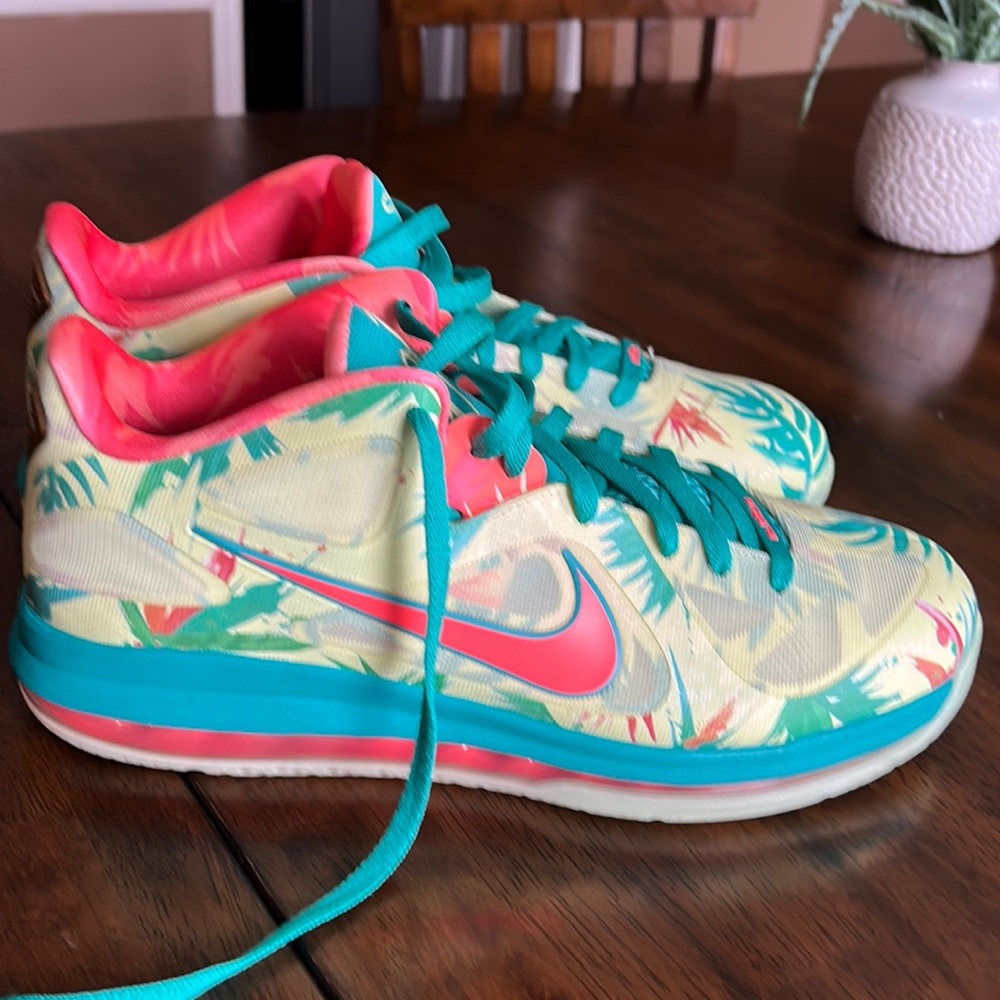 Nike lebron  9 low